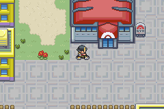 Entrada al Gimnasio de Ciudad Trigal, el tercero de Johto
